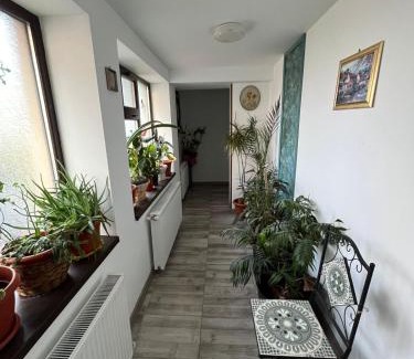 Galati Apartamento | Solaria Apartment