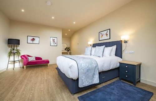 York Casa | Solaris