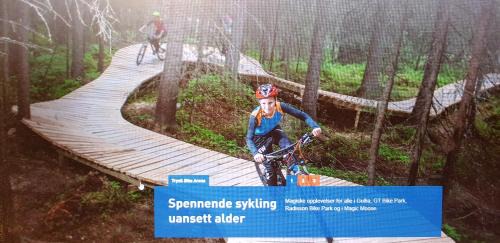 Trysil Casa | Solbjørnlia Apartments