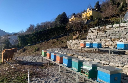 Verbania Apartamento | Sole