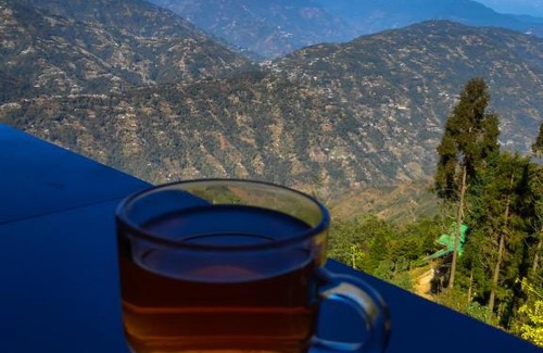 Darjeeling Chalet De Esquí | Solitude In Himalayas