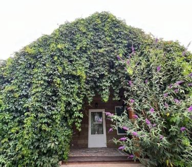 Issyk-Kul Region Casa | Solnyshko 27