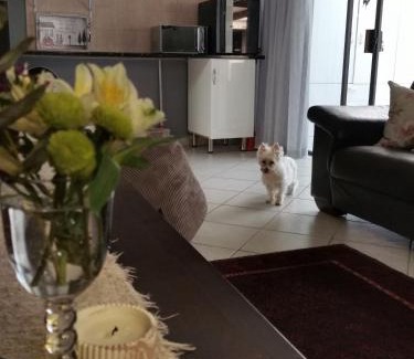 Somerset West Apartamento | Somerset west Mountain road cottage