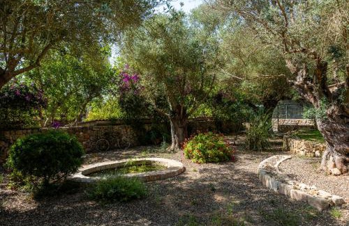 Manacor Casa | Son Moix