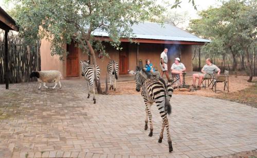 Bela-Bela Cabina | Sondela Nature Reserve & Spa Makhato Lodges