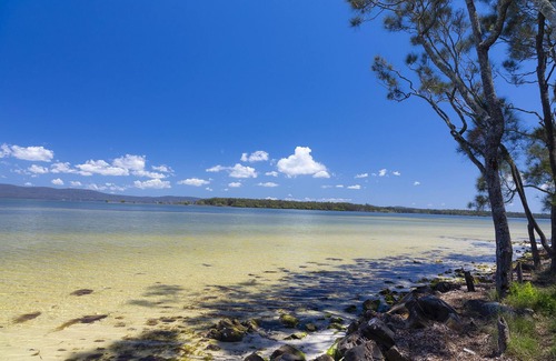 Green Point Casa | Song Bird Luxury Getaway