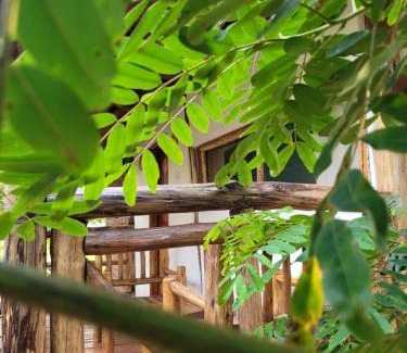 Kasese Complejo | Songbird Safari Lodge & Campsite