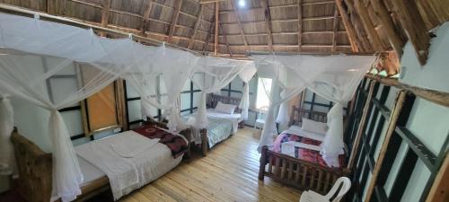Kasese Complejo | Songbird Safari Lodge & Campsite