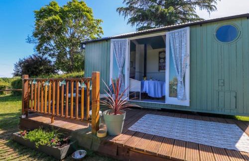 High Halden Casa | Songbirds