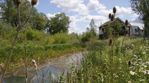Cirencester Casa | Songthrush
