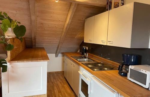 Heroldsberg Apartamento | Sonnige 2-Zimmer Wohnung unterm Dach