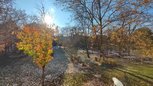 Rudolfsheim-Funfhaus Apartamento | Sonnige Wohnung mit Parkblick nahe Schönbrunn