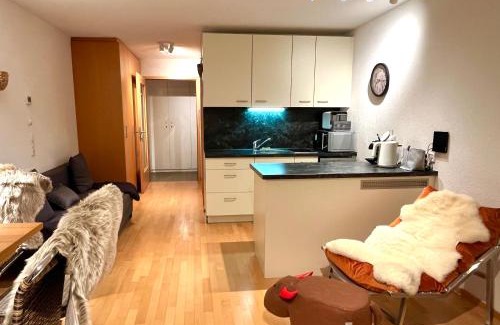 Damuels Apartamento | Sonniges Bergblick-Appartement
