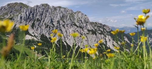 Sonnleitn Apartamento | Sonnleitn AlpinWell Appartment (Ski in&out + Wellness)