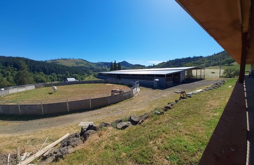 Roseburg Apartamento | Soothing coyote-themed apartment with fitness room in Winston