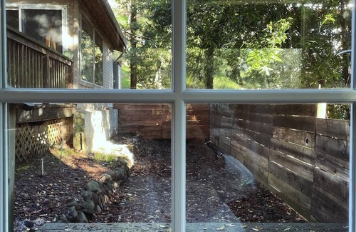 Forestland Cabina | Soothing modern Oakland Hills treehouse with deck