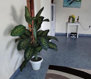 Watamu Apartamento | Sophia's Place