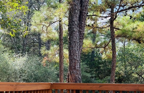 Circle D-KC Estates Cabina | Sophie’s cabin - In lost Pines! 2mi to Bastrop Lake