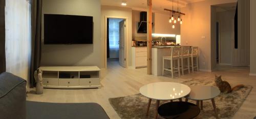 Sopot Apartamento | Sopot, BIG APARTMENT FOR 6! Air condition, jacuzzi