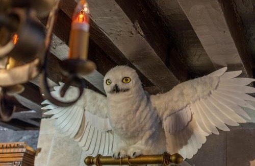 Le Bon Sauveur Apartamento | Sorcier Magique & Expérience Immersive