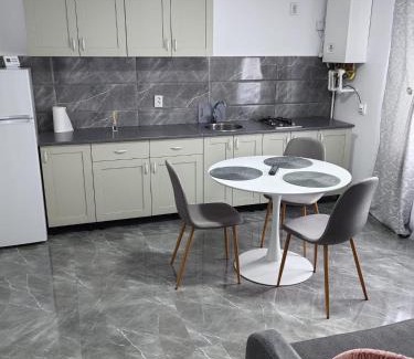 Tirgu Neamt Apartamento | SorinaApartament2