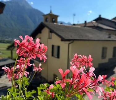 Nuova Olonio Cama Y Desayuno | Sotto al Bosco B&B e Azienda Agricola