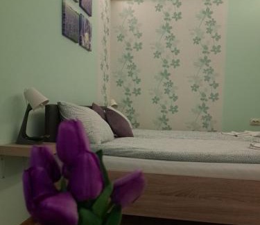 Palic Casa | Soul