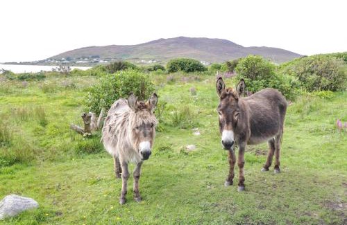 Achill Sound Casa | Sound Cottage