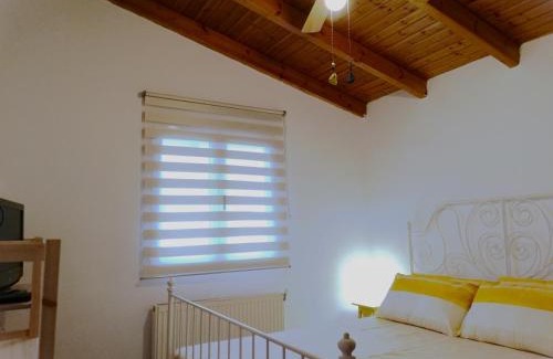 Marathon Casa | Source of unique experiences!