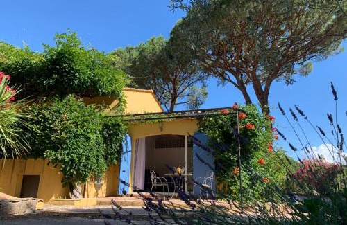 Vidauban Casa | Sous les pins parasols