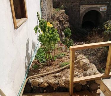 Guimar Apartamento | Souterrain für max 2 P., Bad, Außenküche, Garten