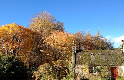 Nethy Bridge Cabaña | South Dell