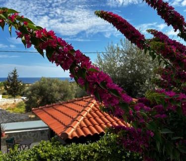 Gennadi Apartamento | Southern Dreams Apartments
