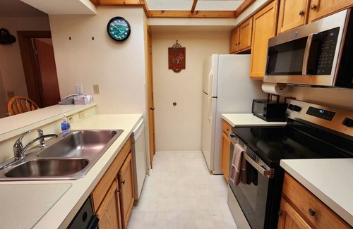 Harbor Springs Condominio | Southridge #20 - Slopeside Ski-in/Ski-out at Nub's Nob