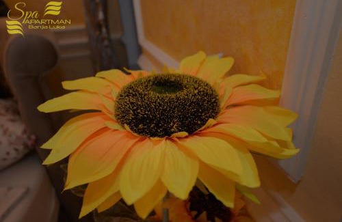 Banja Luka Apartamento | Spa Apartman Banja Luka