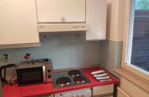 Werfenweng Apartamento | Spa Apartment in den Alpen