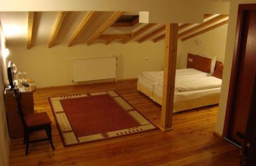 Ribaritsa Hotel | Spa Hotel Planinata