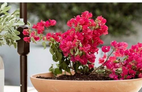 Fallbrook Casa | space oneTEN - a boutique event space!