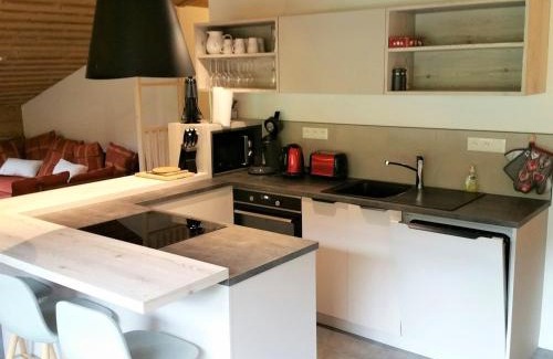 La Clusaz Apartamento | Spacieux appart rénové avec balcon sud, proche pistes et bus à La Clusaz - FR-1-459-167