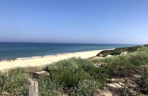 Biscarrosse Plage Apartamento | Spacieux appartement neuf au cœur de Bisca plage