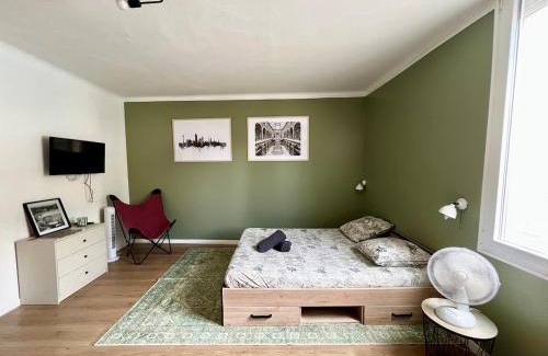 Chatellerault Apartamento | Spacieux et confortable en plein centre - Studio Vienne