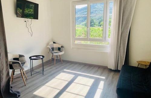 Amelie-les-Bains-Palalda Apartamento | Spacieux F2 avec jardin, terrasse, et commodités près des Thermes - Amélie-les-Bains-Palalda - FR-1-703-160