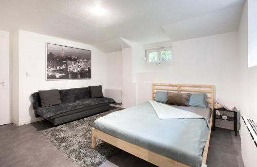 Mulhouse Apartamento | Spacieux Studio, Maison de Maître, Parking Gratuit sur Place, MULHOUSE CENTRE