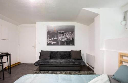 Mulhouse Apartamento | Spacieux Studio, Maison de Maître, Parking Gratuit sur Place, MULHOUSE CENTRE