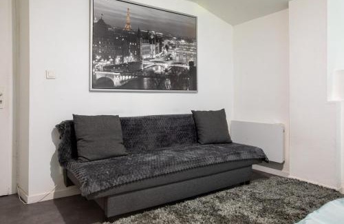 Mulhouse Apartamento | Spacieux Studio, Maison de Maître, Parking Gratuit sur Place, MULHOUSE CENTRE