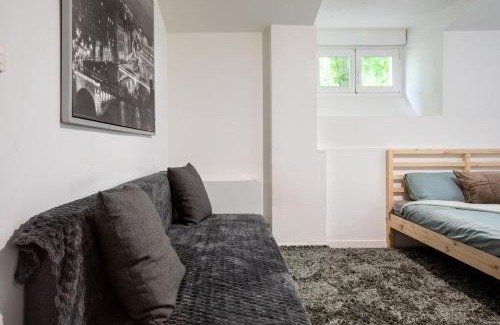 Mulhouse Apartamento | Spacieux Studio, Maison de Maître, Parking Gratuit sur Place, MULHOUSE CENTRE