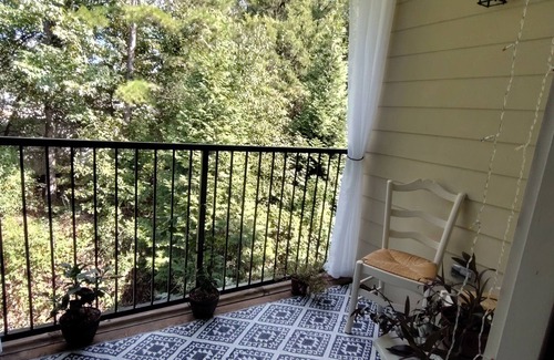 Fort Mill Apartamento | Spacious 1-bedroom apt. near Carowinds with a private balcony, gym, and pool