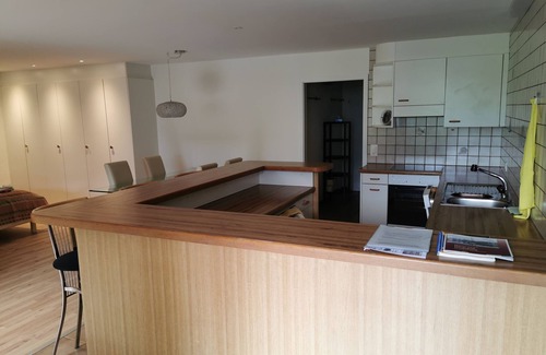 Horw Condominio | amplio apartamento de 1 habitación (65 m²) con cocina, cuarto de baño con ducha