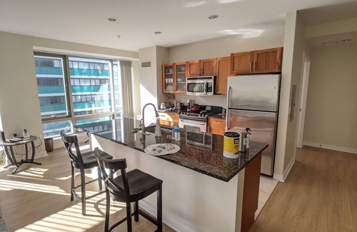 West End Apartamento | Spacious 2 Bed/Bath Apt Nearby MGH,MIT,Harvard, Washer/Dryer in suite, Modern Bd