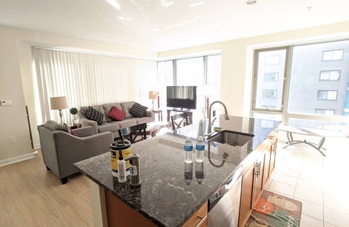 West End Apartamento | Spacious 2 Bed/Bath Apt Nearby MGH,MIT,Harvard, Washer/Dryer in suite, Modern Bd